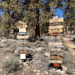 Meet your Posher, Maureen